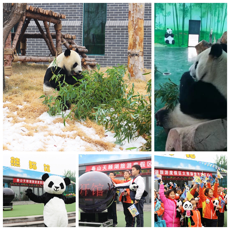 光影魔术手拼图.jpg-3