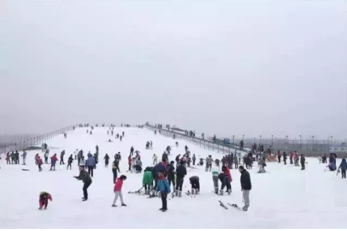 QQ截图20180223143536.png